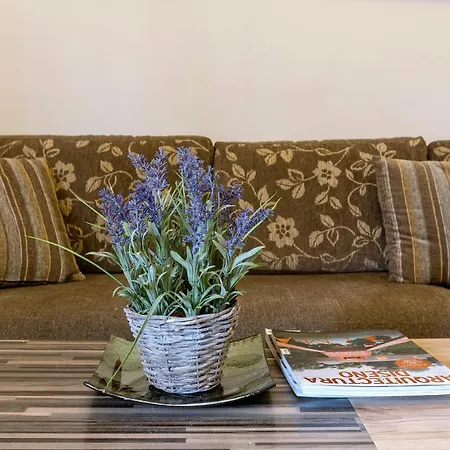 Apartamento Garitsa Nest *